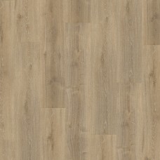 SPC ламинат parador Basic 5.3 Royal Oak light limed